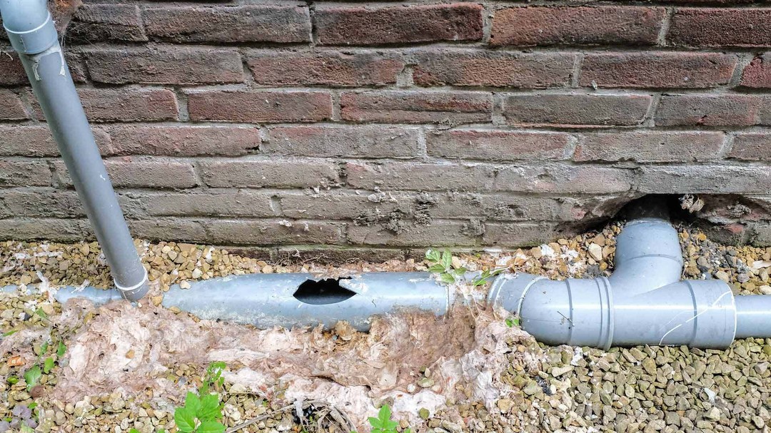 Drain Repairs