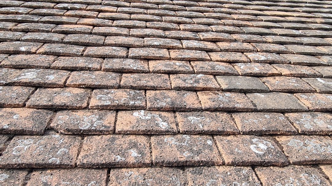 Roof moss removal Essex