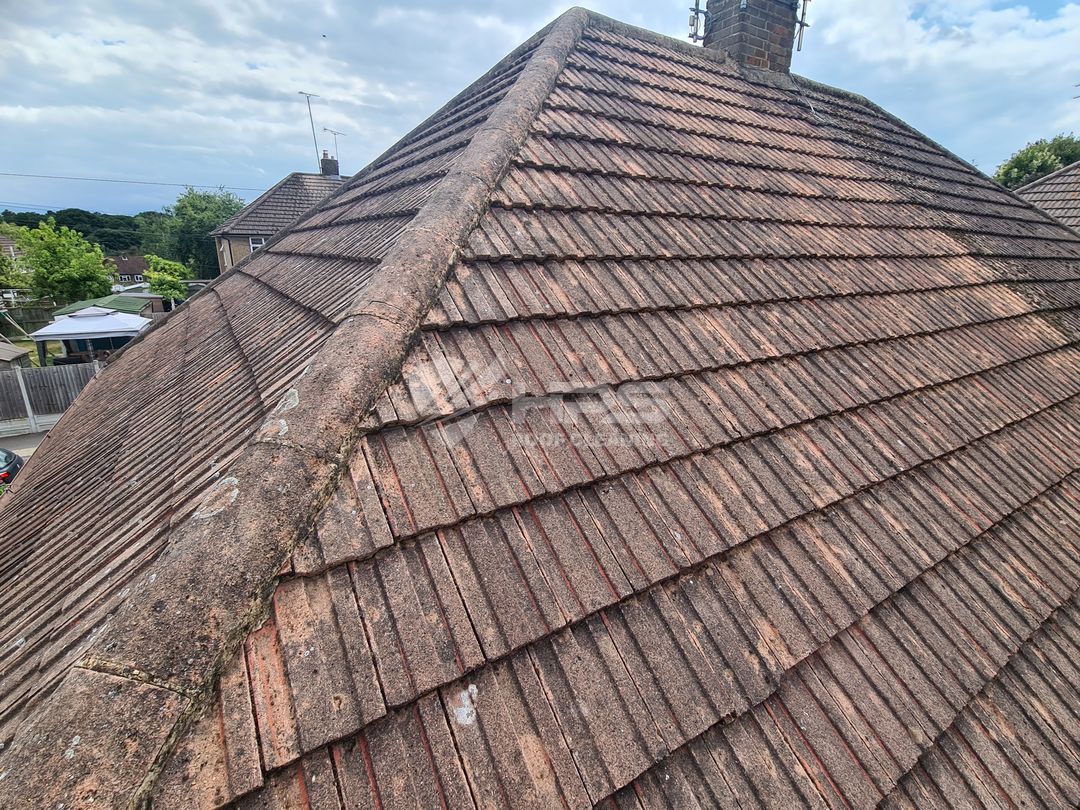 Roof moss removed Essex