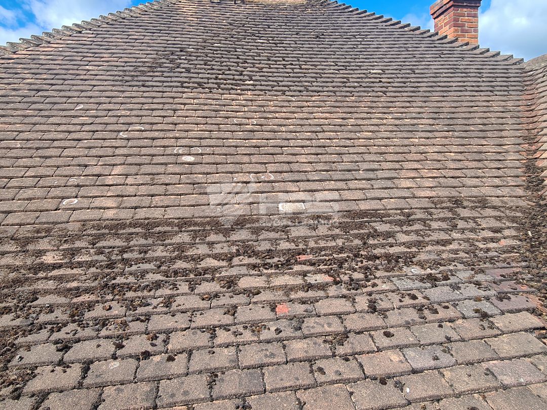 Roof tile moss party removal