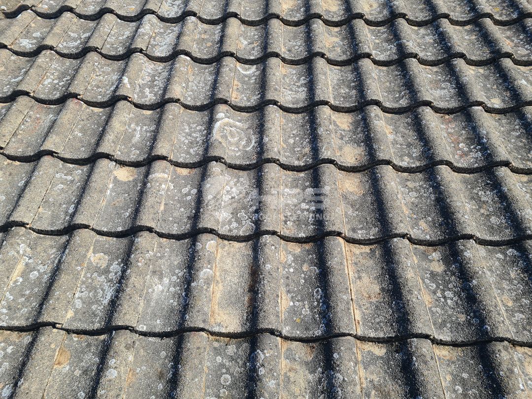 Concrete roof tile moss removal Essex